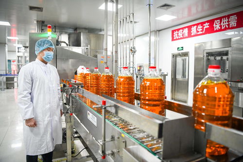 在高水平開放中邁向振興 外資加大投資東北現象觀察與油脂產業發展新機遇