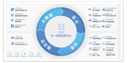數(shù)據(jù)資產(chǎn)管理,新電子政務建設利器